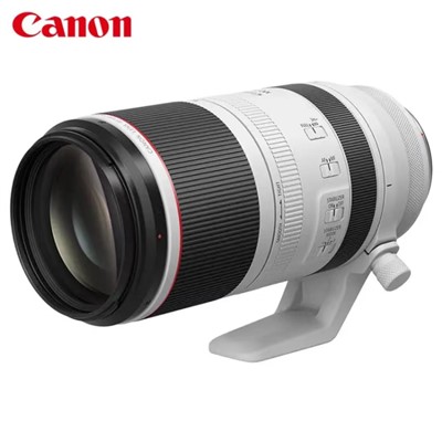 佳能（Canon）RF100-500mm F4.5-7.1 L IS USM 镜头   远摄变焦镜头 微单镜头（全画幅EOS R系统专用）